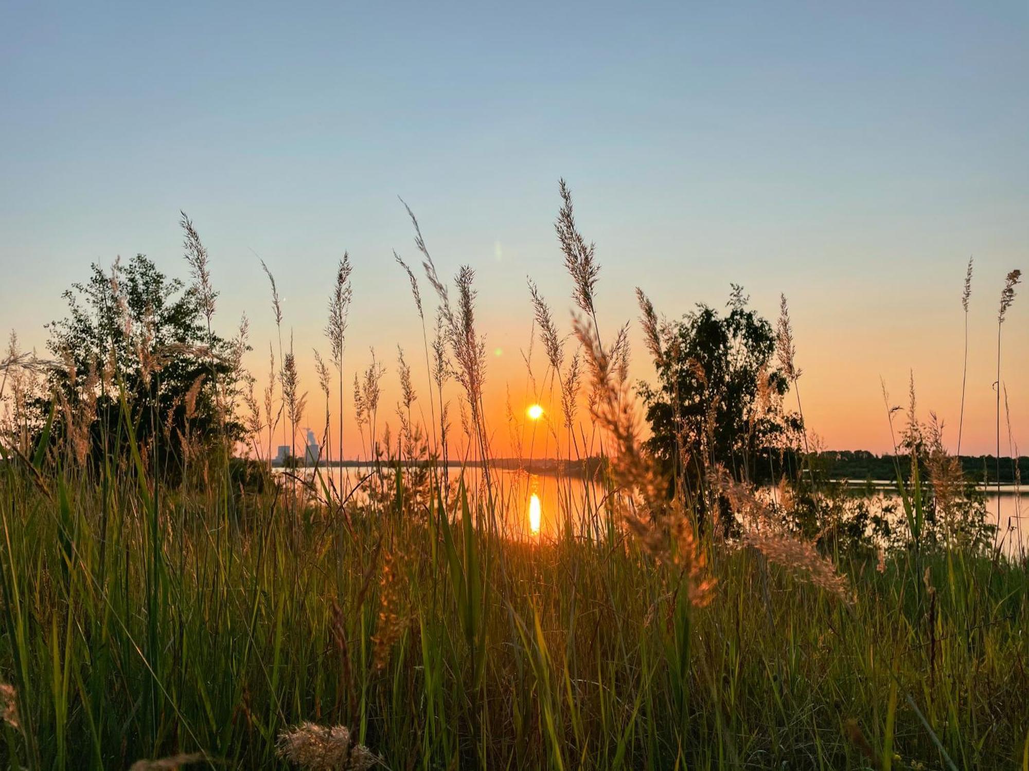 Haus Im Schilf 2 - Ferienwohnungen Am Hainer See Bei Leipzig Neukieritzsch Exteriér fotografie